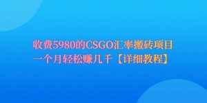 (9776期)CSGO装备搬砖,月综合收益率高达60%,你也可以!-泰戈创艺资源库