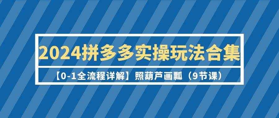 （9559期）2024拼多多实操玩法合集【0-1全流程详解】照葫芦画瓢（9节课）-泰戈创艺资源库