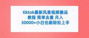 (9804期)tiktok最新风景视频搬运教程 简单去重 月入30000+附全套工具-泰戈创艺资源库