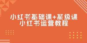 (9660期)小红书基础课+高级课-小红书运营教程(53节视频课)-泰戈创艺资源库