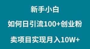 （9556期）新手小白如何通过卖项目实现月入10W+-泰戈创艺资源库