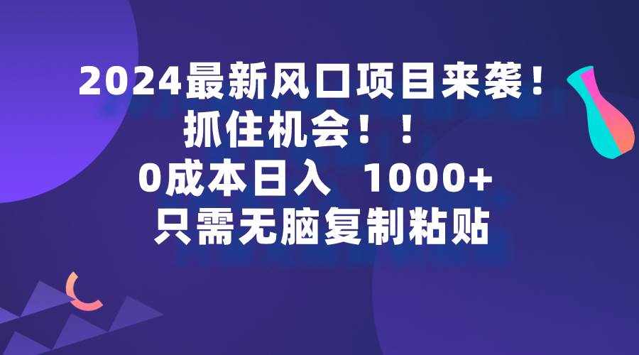 （9899期）2024最新风口项目来袭，抓住机会，0成本一部手机日入1000+，只需无脑复…-泰戈创艺资源库