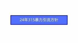 (9398期)2024年315暴力引流方针-泰戈创艺资源库
