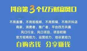 （10382期）火爆全网的抖音优惠券 自用省钱 推广赚钱 不伤人脉 裂变日入500+ 享受…-泰戈创艺资源库