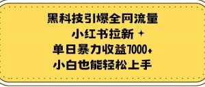 （9679期）黑科技引爆全网流量小红书拉新，单日暴力收益7000+，小白也能轻松上手-泰戈创艺资源库