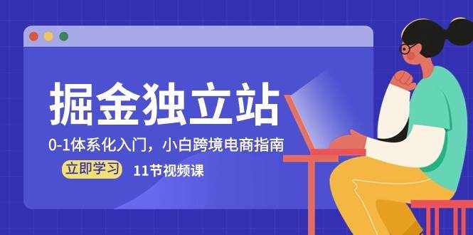 （10536期）掘金 独立站，0-1体系化入门，小白跨境电商指南（11节视频课）-泰戈创艺资源库
