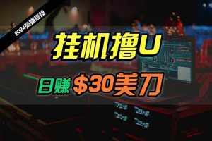 (10013期)日赚30美刀,2024最新海外挂机撸U内部项目,全程无人值守,可批量放大-泰戈创艺资源库