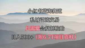 (9487期)小红书短剧赛道,私域引流交易,会复制粘贴,日入500+(附6.7T短剧资源)-泰戈创艺资源库