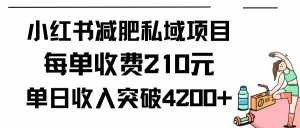 （9466期）小红书减肥私域项目每单收费210元单日成交20单，最高日入4200+-泰戈创艺资源库
