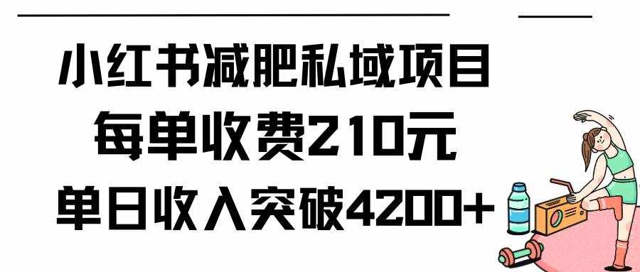 （9466期）小红书减肥私域项目每单收费210元单日成交20单，最高日入4200+-泰戈创艺资源库