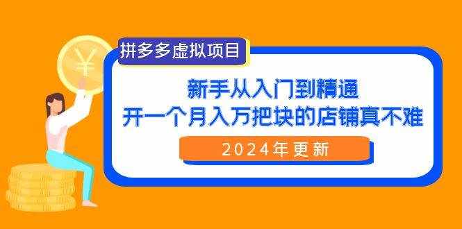（9744期）拼多多虚拟项目：入门到精通，开一个月入万把块的店铺 真不难（24年更新）-泰戈创艺资源库