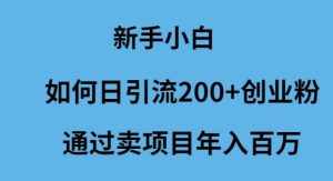 （9668期）新手小白如何日引流200+创业粉通过卖项目年入百万-泰戈创艺资源库