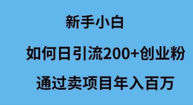 （9668期）新手小白如何日引流200+创业粉通过卖项目年入百万-泰戈创艺资源库