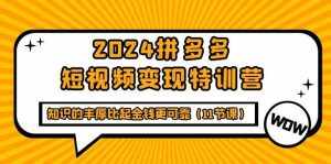 (9817期)2024拼多多短视频变现特训营,知识的丰厚比起金钱更可靠(11节课)-泰戈创艺资源库