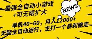 (10046期)2024最新全网独家小游戏全自动,单机40~60,稳定躺赚,小白都能月入过万-泰戈创艺资源库