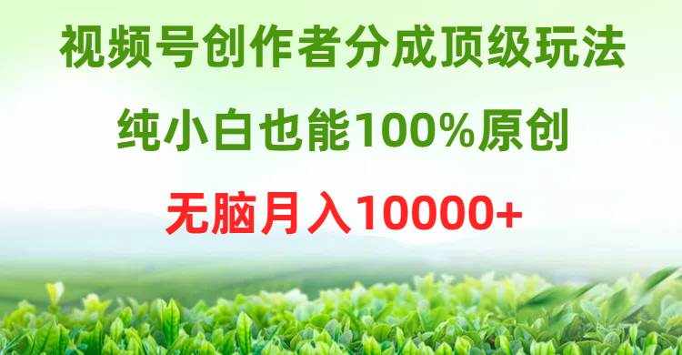（9608期）视频号创作者分成顶级玩法，纯小白也能100%原创，无脑月入10000+-泰戈创艺资源库