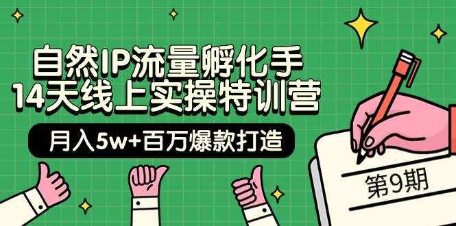 （9881期）自然IP流量孵化手 14天线上实操特训营【第9期】月入5w+百万爆款打造 (74节)-泰戈创艺资源库