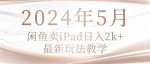 （10459期）2024年5月闲鱼卖ipad日入2k，最新玩法教学-泰戈创艺资源库