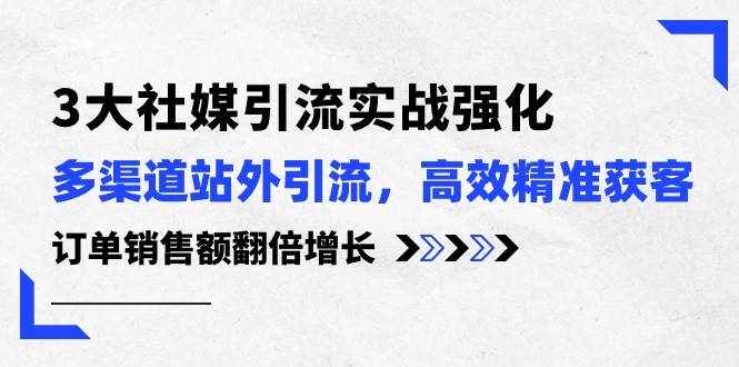 （10563期）3大社媒引流实操强化，多渠道站外引流/高效精准获客/订单销售额翻倍增长-泰戈创艺资源库