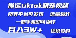 (9618期)搬运Tiktok萌宠类视频,一部手机即可。所有短视频平台均可操作,月入3W+-泰戈创艺资源库