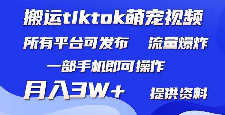 （9618期）搬运Tiktok萌宠类视频，一部手机即可。所有短视频平台均可操作，月入3W+-泰戈创艺资源库