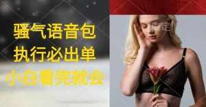 （9589期）执行就出单，日入2000+，超火骚气语音包，小白看完课程就能马上实操-泰戈创艺资源库