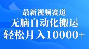 (9446期)最新视频赛道 无脑自动化搬运 轻松月入10000+-泰戈创艺资源库