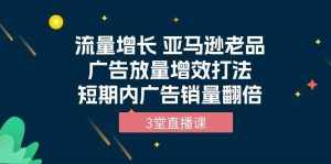 （10112期）流量增长 亚马逊老品广告放量增效打法，短期内广告销量翻倍（3堂直播课）-泰戈创艺资源库