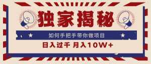 （9362期）独家揭秘，如何手把手带你做项目，日入上千，月入10W+-泰戈创艺资源库