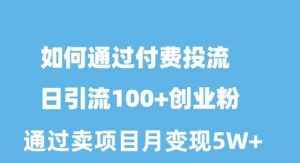 （10189期）如何通过付费投流日引流100+创业粉月变现5W+-泰戈创艺资源库