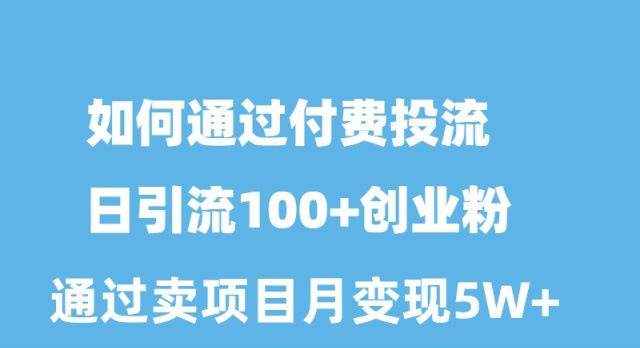 （10189期）如何通过付费投流日引流100+创业粉月变现5W+-泰戈创艺资源库