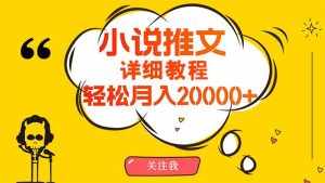 （10000期）简单操作，月入20000+，详细教程！小说推文项目赚钱秘籍！-泰戈创艺资源库