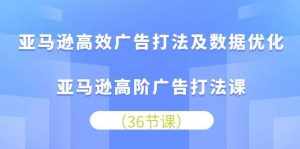 （10649期）亚马逊 高效广告打法及数据优化，亚马逊高阶广告打法课（36节）-泰戈创艺资源库