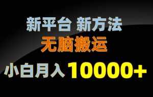 (10605期)新平台新方法,无脑搬运,月赚10000+,小白轻松上手不动脑-泰戈创艺资源库