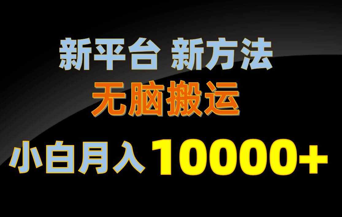 （10605期）新平台新方法，无脑搬运，月赚10000+，小白轻松上手不动脑-泰戈创艺资源库