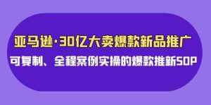 （9944期）亚马逊30亿·大卖爆款新品推广，可复制、全程案例实操的爆款推新SOP-泰戈创艺资源库