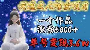 (9693期)天选之人炼金项目,一个作品涨粉5000+,单号变现3.6w-泰戈创艺资源库