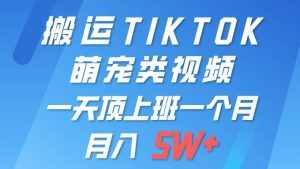 (9931期)一键搬运TIKTOK萌宠类视频 一部手机即可操作 所有平台均可发布 轻松月入5W+-泰戈创艺资源库