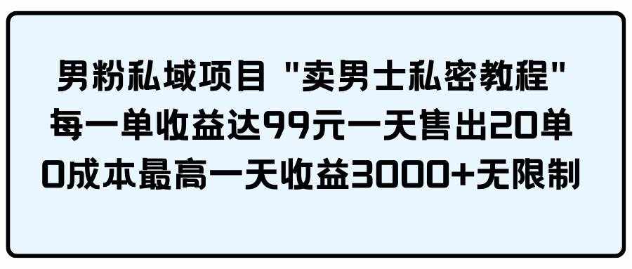 （9730期）男粉私域项目 “卖男士私密教程” 每一单收益达99元一天售出20单-泰戈创艺资源库