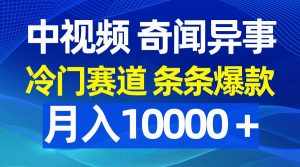 (9627期)中视频奇闻异事,冷门赛道条条爆款,月入10000+-泰戈创艺资源库