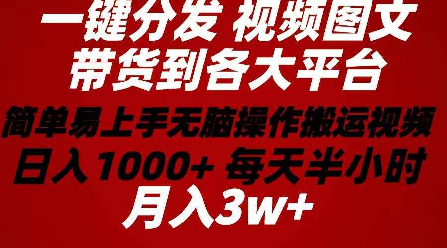 （10667期）2024年 一键分发带货图文视频  简单易上手 无脑赚收益 每天半小时日入1…-泰戈创艺资源库