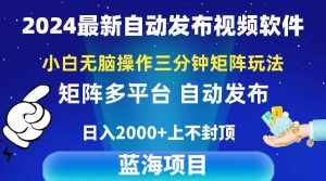 (10166期)2024最新视频矩阵玩法,小白无脑操作,轻松操作,3分钟一个视频,日入2k+-泰戈创艺资源库