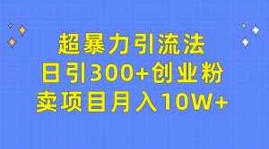 （9954期）超暴力引流法，日引300+创业粉，卖项目月入10W+-泰戈创艺资源库