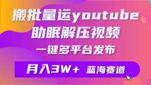 (9727期)批量搬运YouTube解压助眠视频 一键多平台发布 月入2W+-泰戈创艺资源库