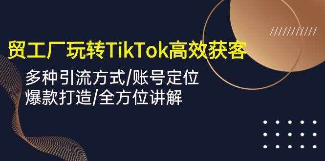 （10302期）外贸工厂玩转TikTok高效获客，多种引流方式/账号定位/爆款打造/全方位讲解-泰戈创艺资源库