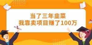 （10725期）当了三年韭菜我靠卖项目赚了100万-泰戈创艺资源库
