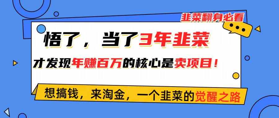 （10759期）悟了，当了3年韭菜，才发现网赚圈年赚100万的核心是卖项目，含泪分享！-泰戈创艺资源库