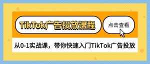 （10731期）TikTok广告投放课程，从0-1实战课，带你快速入门TikTok广告投放（30节课）-泰戈创艺资源库