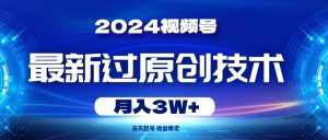 （10704期）2024视频号最新过原创技术，当天起号，收益稳定，月入3W+-泰戈创艺资源库
