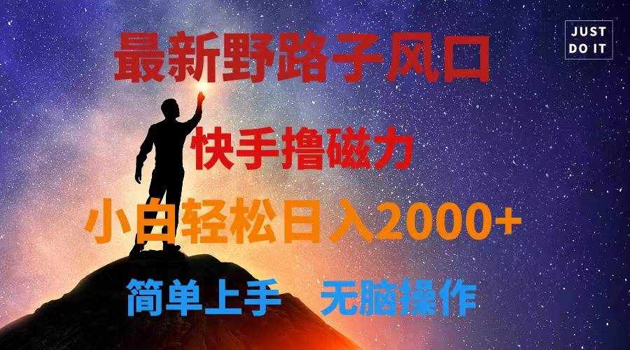 （10754期）最新风口！快手撸磁力，野路子，小白无脑操作日入2000+-泰戈创艺资源库